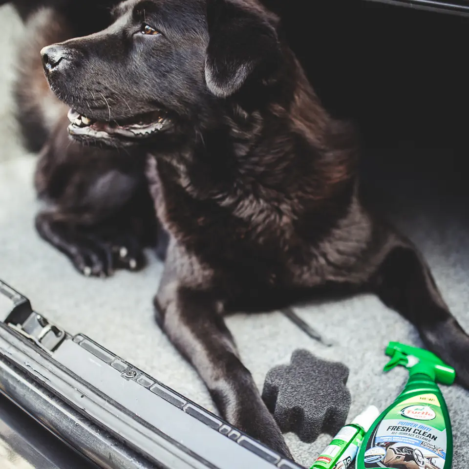 Pack Limpieza Interior (Fresh Clean 680mL + 2 Aromatizadores 59mL + Paño de Microfibra 40x40 350gsm + Esponja levanta pelos) 3