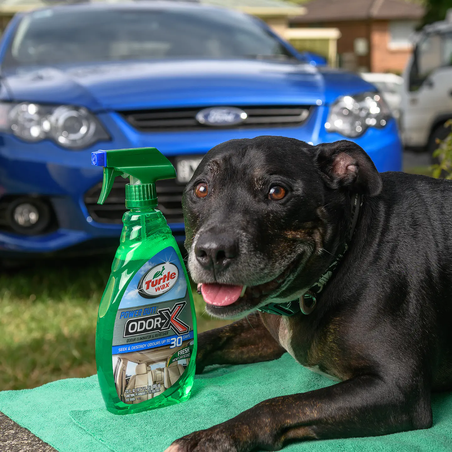 Aromatizador en Spray Odor-X New Car 680mL 3