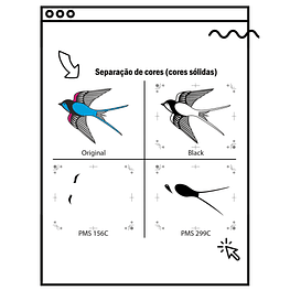 SEPARAÇÃO DE CORES (VETORES E CORES SÓLIDAS)