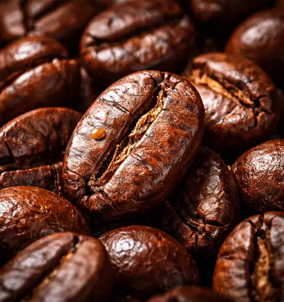 Café Jardín Drip Colombia Caldas 100% Arábica 6 Sobres 3