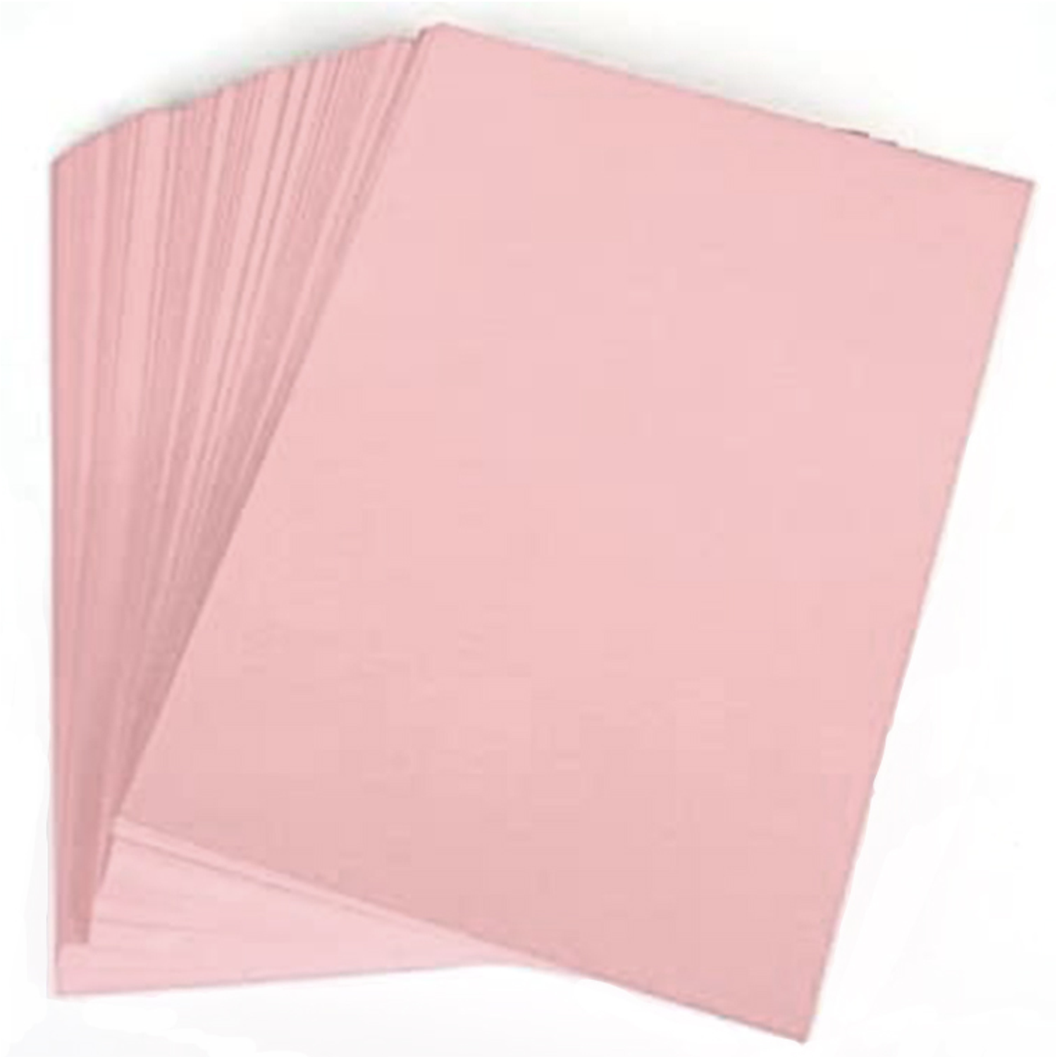 Cartolina guarro 50x65 cm 185 gr rosa 2