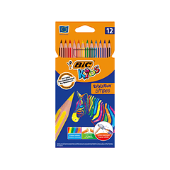 Lapis de cor bic evolution stripes caixa de 12 cores sortidas