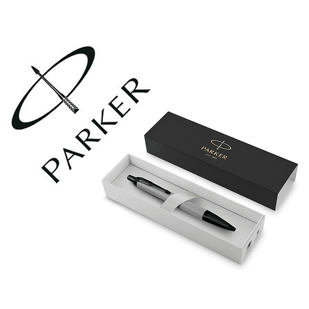 Esferografica parker im matte cinza 1