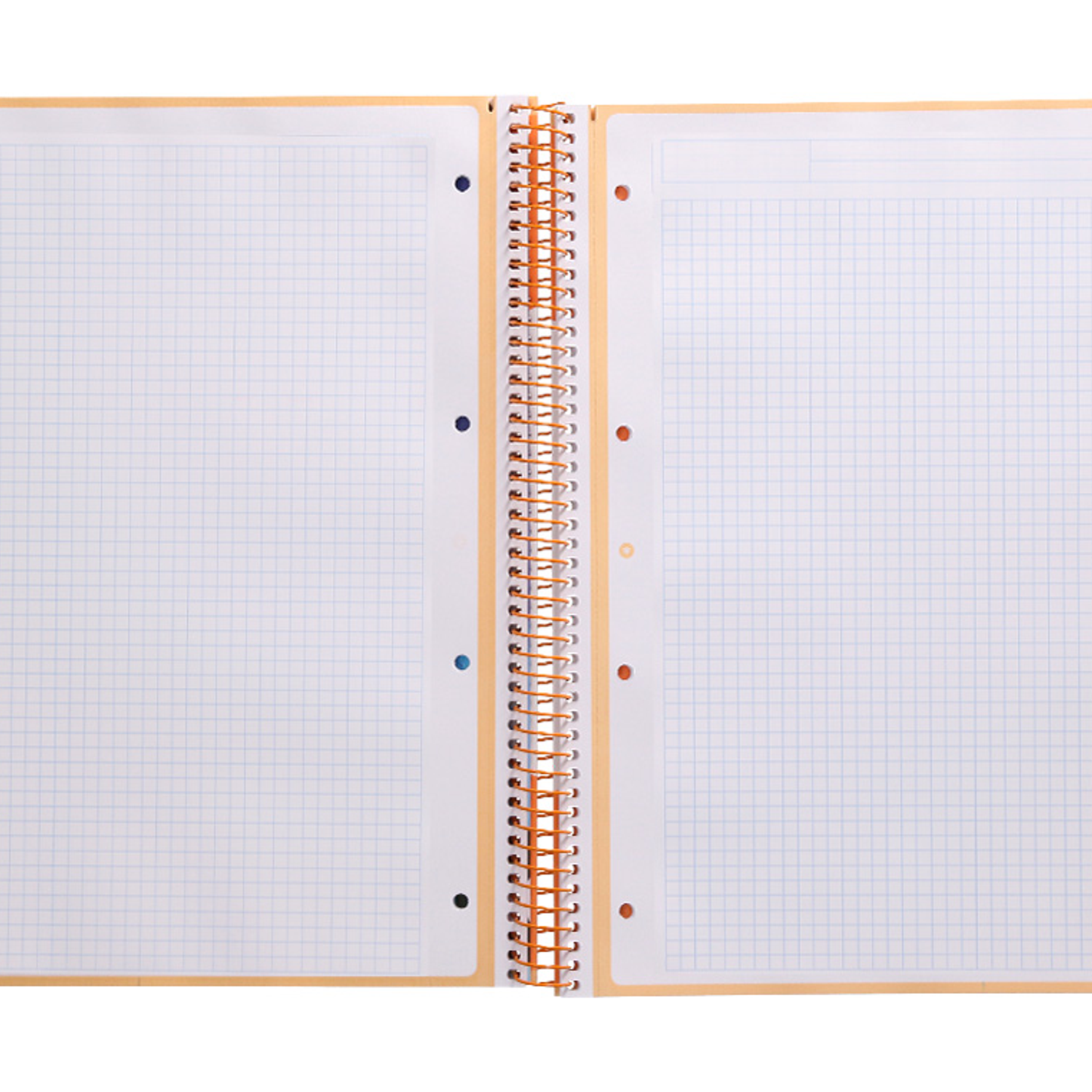 Caderno espiral liderpapel din a4 antartik capa forrada 80f 90 gr quadricula 5mm 1 banda 4 furos cor amarelo claro 6