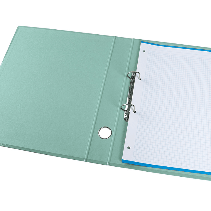 Pasta de arquivo liderpapel color system cartao forrado din a4 2 aneis 25 mm mistos com oculo e porta etiquetas menta 6