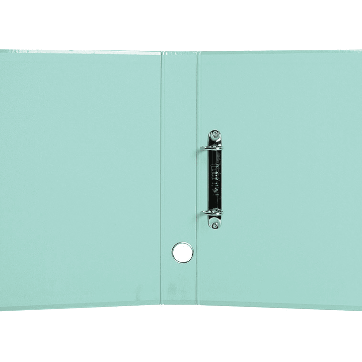 Pasta de arquivo liderpapel color system cartao forrado din a4 2 aneis 25 mm mistos com oculo e porta etiquetas menta 5