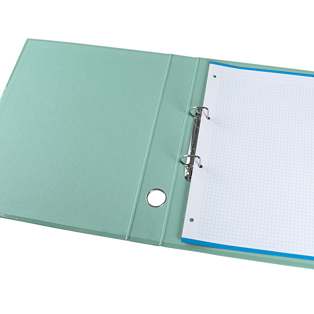 Pasta de arquivo liderpapel color system cartao forrado din a4 2 aneis 25 mm mistos com oculo e porta etiquetas menta 8