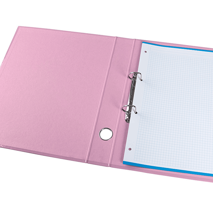 Pasta de arquivo liderpapel color system cartao forrado din a4 2 aneis 25 mm mistos com oculo e porta etiquetas rosa 7