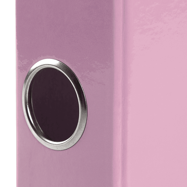 Pasta de arquivo liderpapel color system cartao forrado din a4 2 aneis 25 mm mistos com oculo e porta etiquetas rosa 8