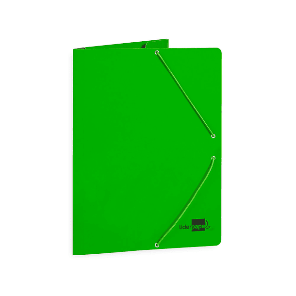 Pasta liderpapel de elasticos folio 3 abas cartao plastificado cor verde 3