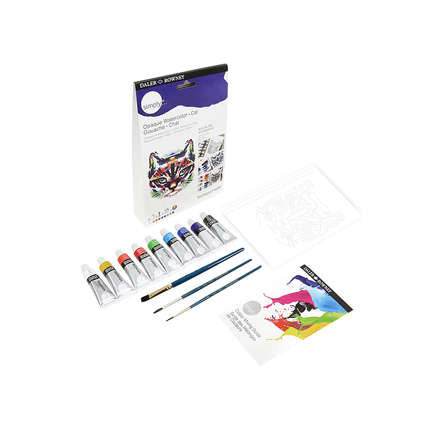 Conjunto de pintura guache daler rowney simply activity 2