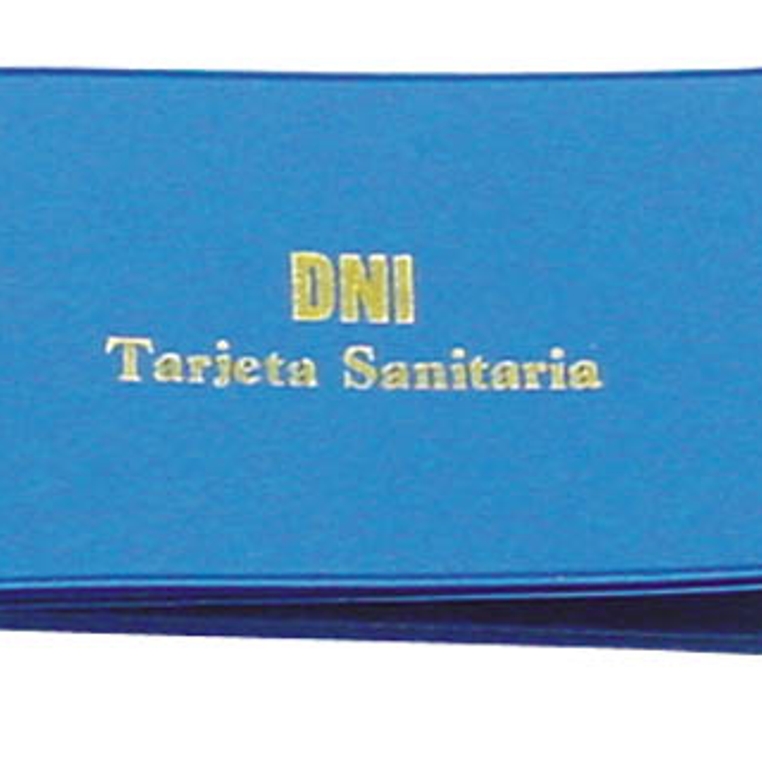 Bolsa portacarnet seguranca social opaca pvc 1