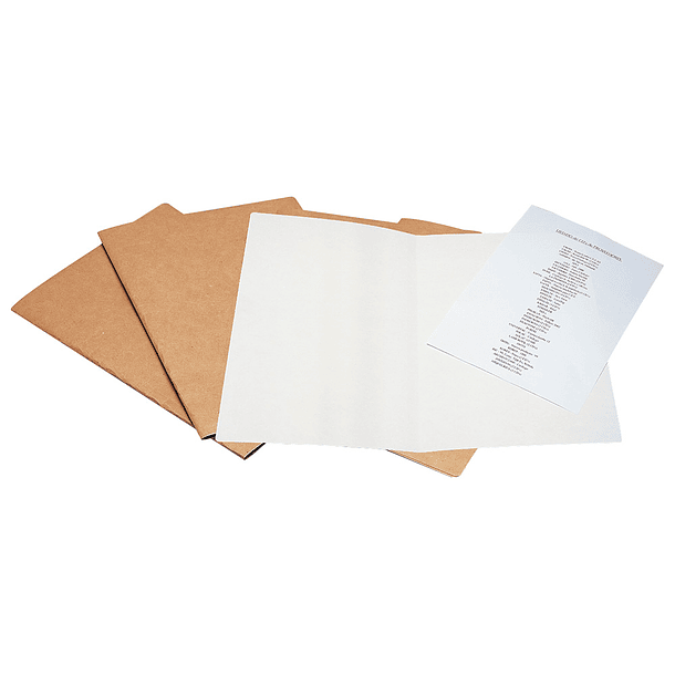 Classificador liderpapel kraft, tam a4 315 x 235 mm com branco intenso 11