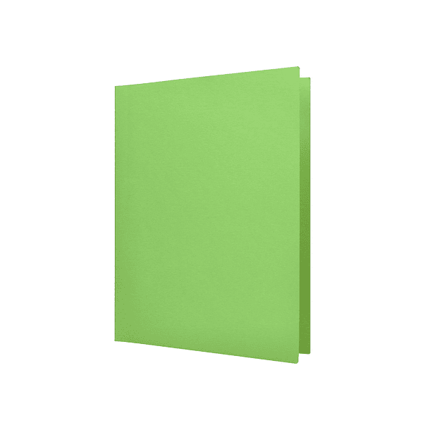 Classificador liderpapel em cartolina de 180 gr din a4 verde intenso 4