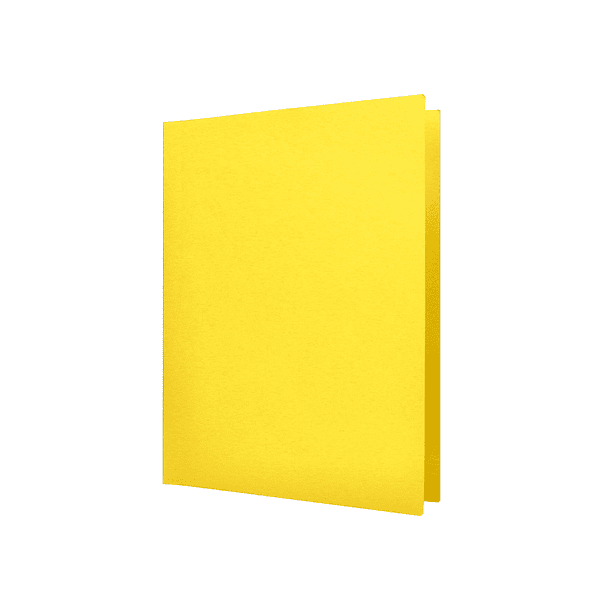 Classificador liderpapel em cartolina de 180 gr din a4 amarelo intenso 4