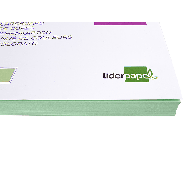 Cartolina liderpapel 180 gr 100 folhas din a3 verde 5