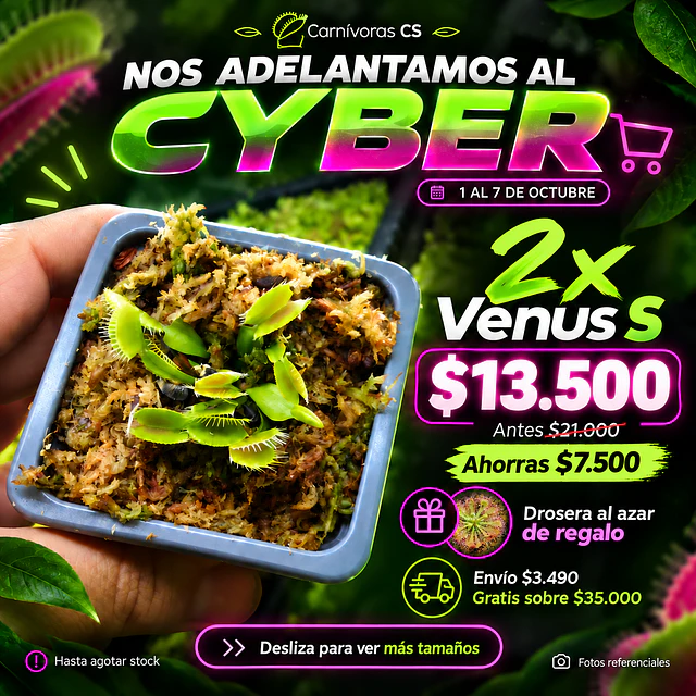 Cyber 2x Venus S 