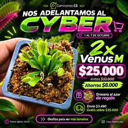 Cyber 2x Venus M