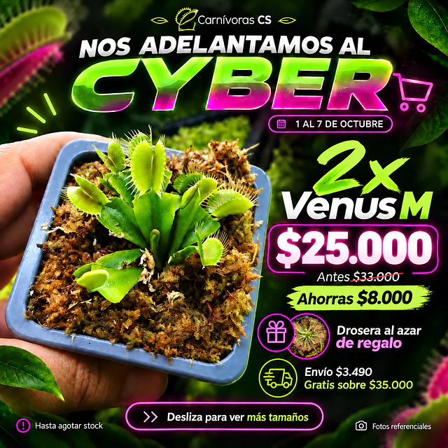 Cyber 2x Venus M