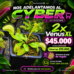 Cyber Venus XL 