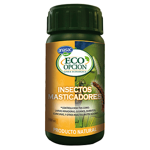 Insectos masticadores