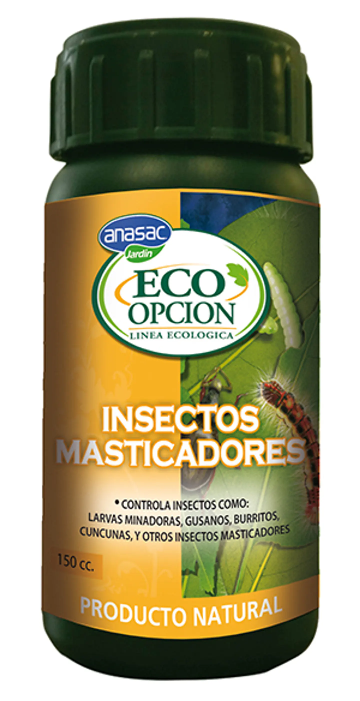 Insectos masticadores 1