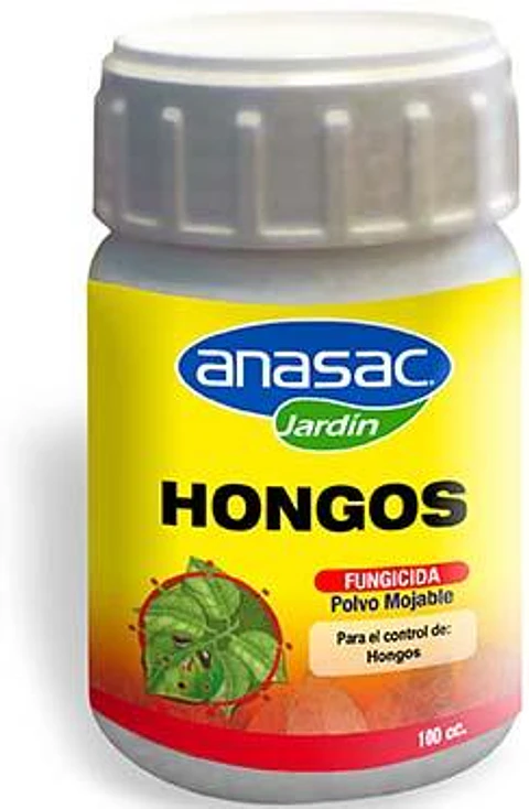 Hongos