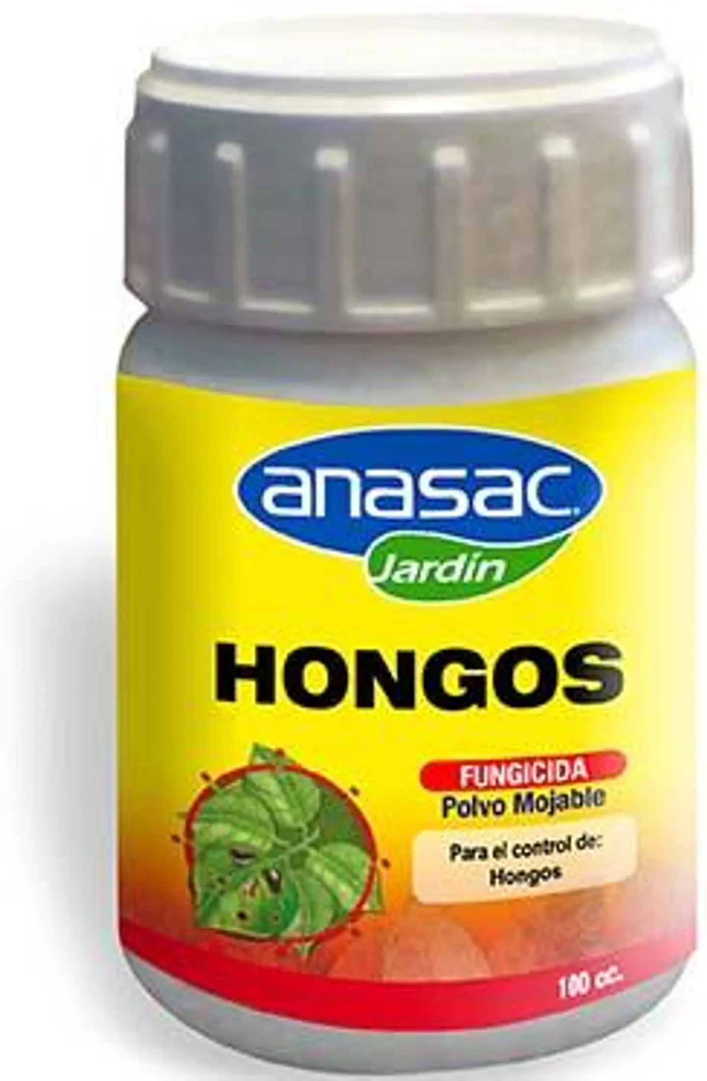 Hongos 1