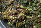 Drosera - Capensis Típica - thumbnail 1