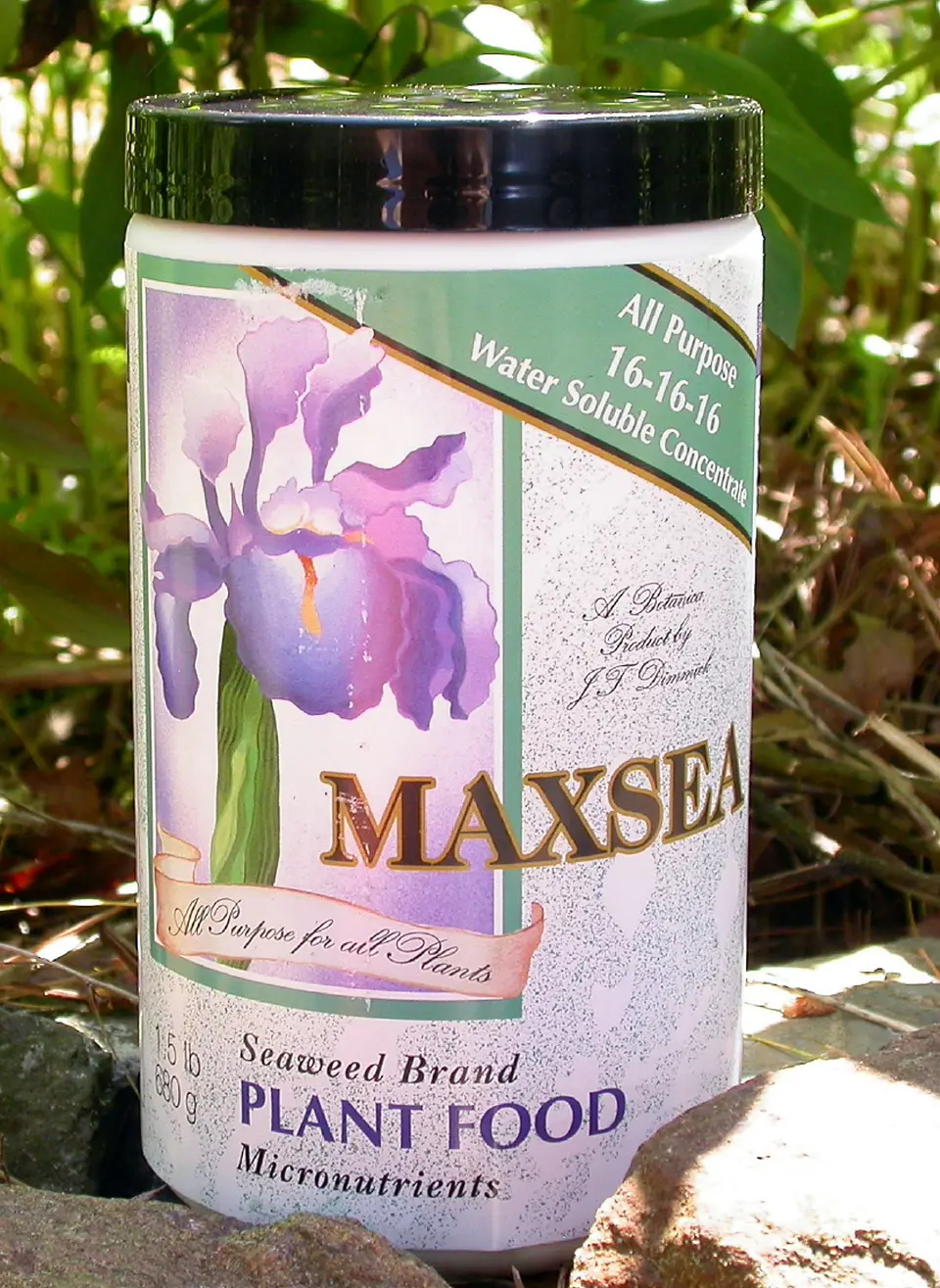 Maxsea  1