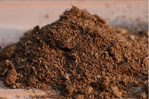 Turba rubia ( peat moss )