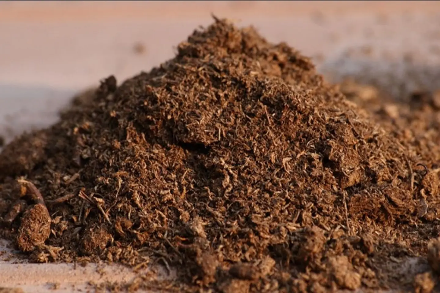 Turba rubia ( peat moss ) 1