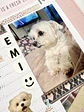 Láminas de Stickers de Letras — Beads - Miniatura 2