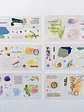 Stickers Acuarela - 03 - Miniatura 2