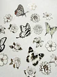 Stickers Florales y Mariposas - 04 - Miniatura 1