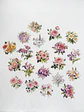 Stickers Florales - 02 - Miniatura 2