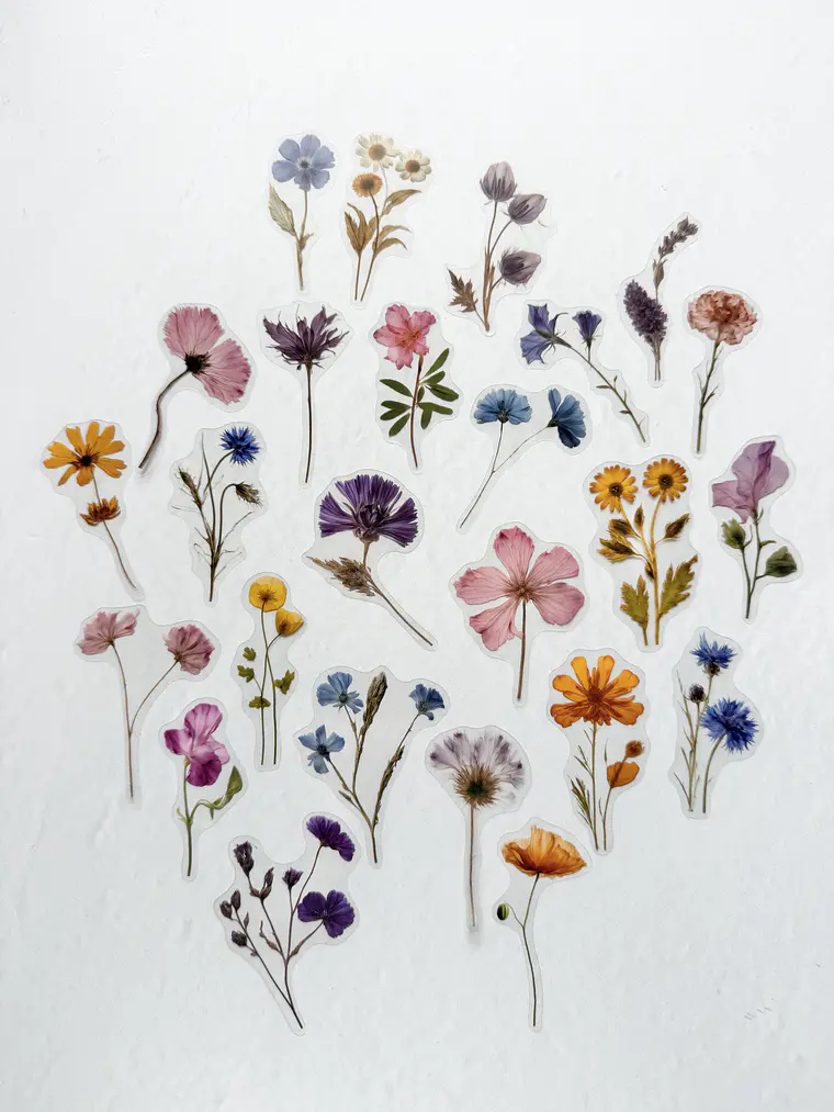 Stickers Flores Secas  2