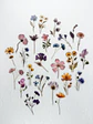 Stickers Flores Secas  - Miniatura 2