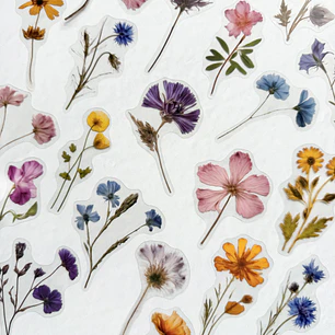 Stickers Flores Secas 