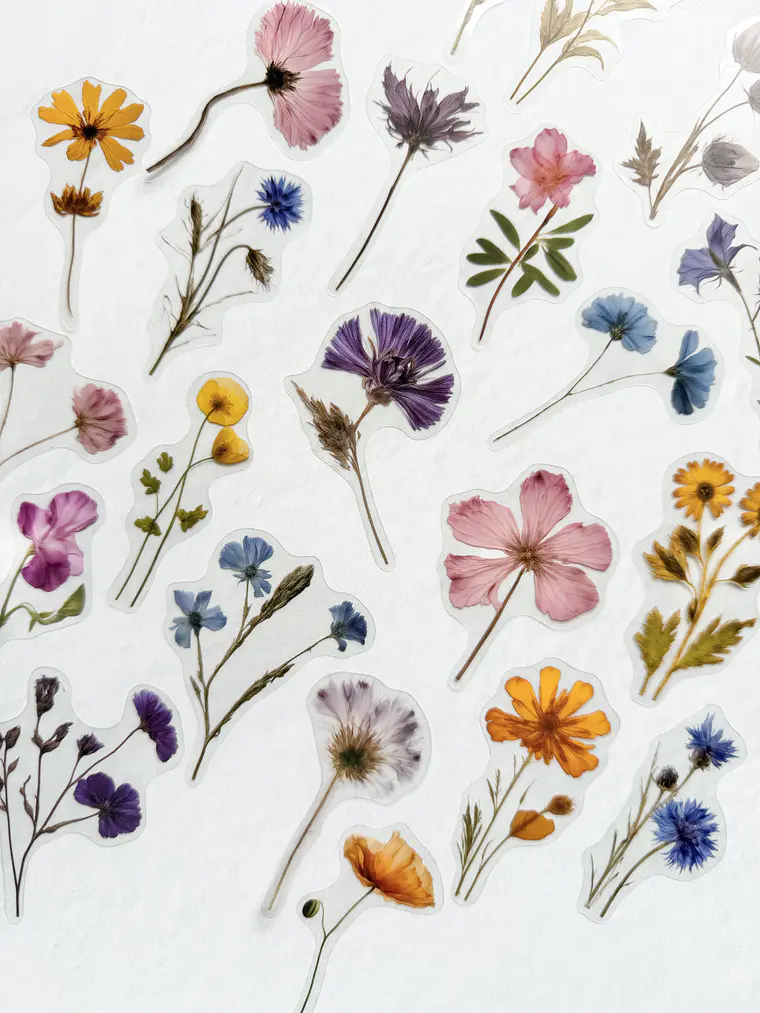 Stickers Flores Secas  1