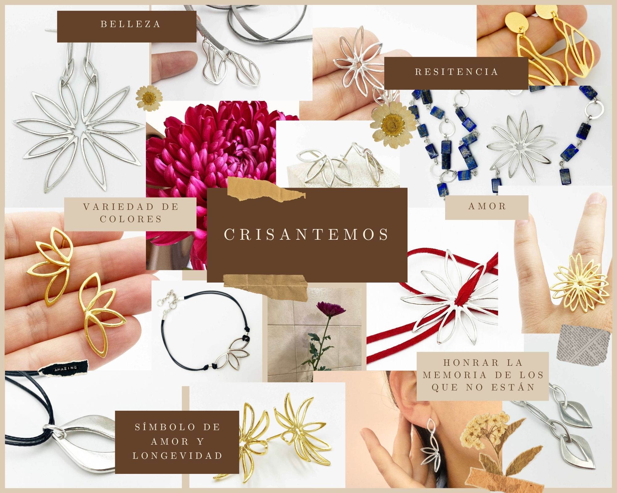 Colección Crisantemos Caroco