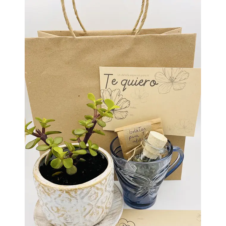 Cajita de regalo Bienestar 1