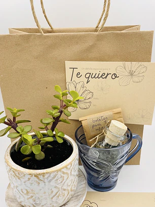 Cajita de regalo Bienestar