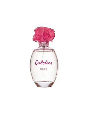 Cabotine Rose