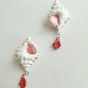 Aros caracola spider coral