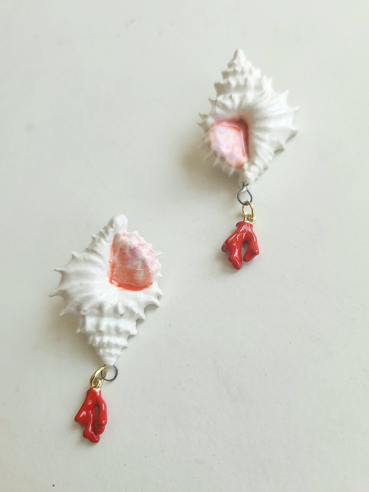 Aros caracola spider coral 1