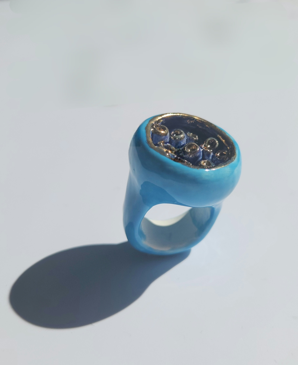 Anillo Jardin secreto turquesa