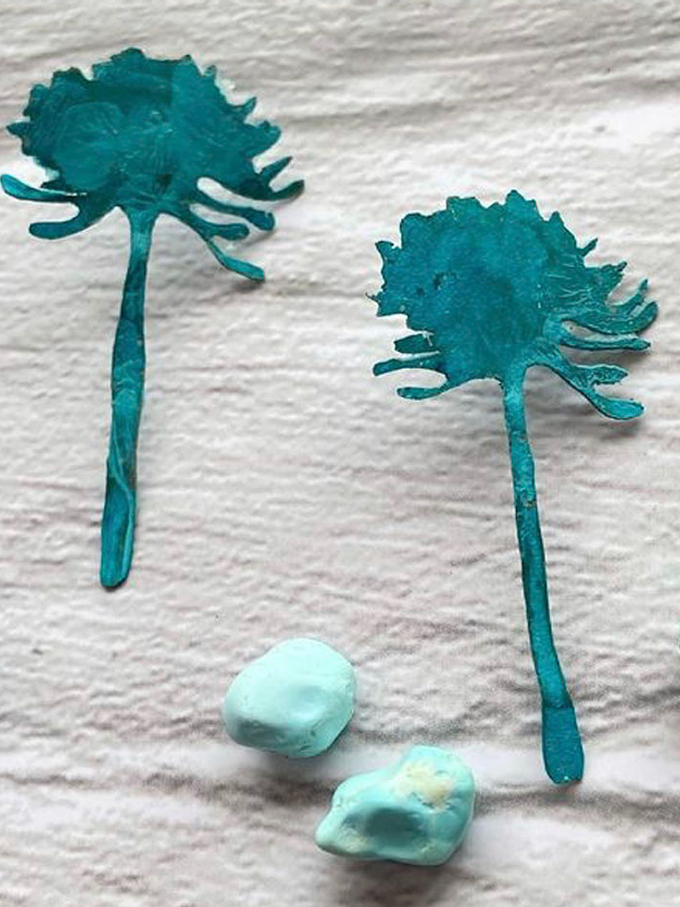 Aros o Pendientes del árbol Chileno 