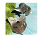 Aros o Pendientes de gato “gato lunar