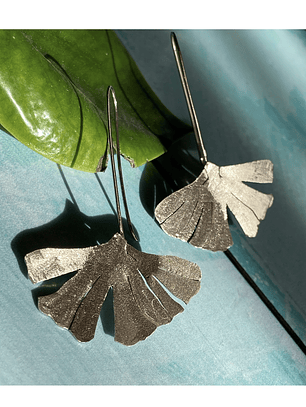 Aros o Pendientes de hojas de Gingko Biloba   “mini gingkos